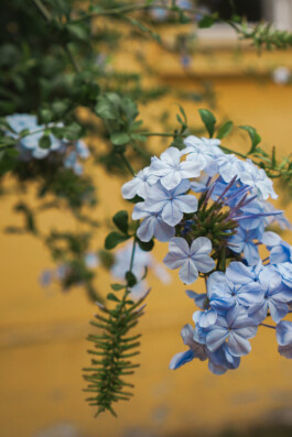  Foto Natur, Event und Kultur.